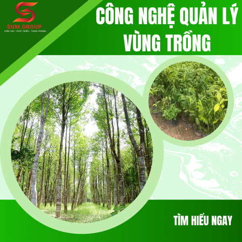 CÔNG NGHỆ QUẢN LÝ VÙNG TRỒNG